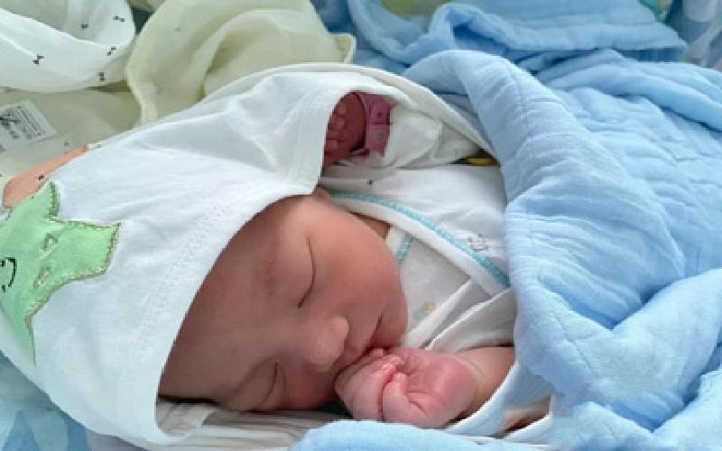 试管植物Dly种子代生